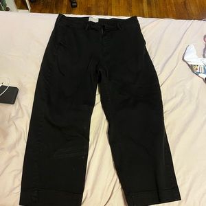 Everlane Straight Leg Crop Short